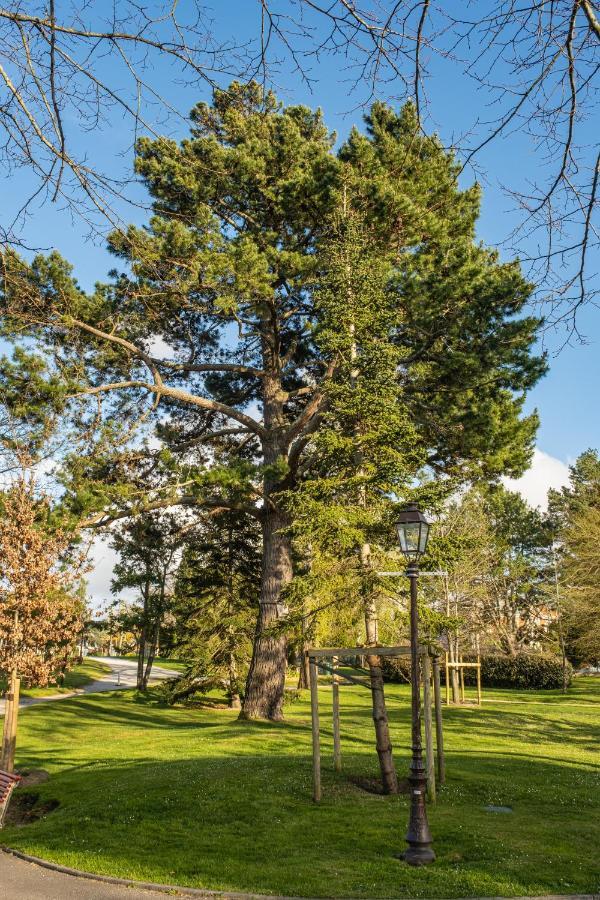 Superbe Appartement En Hyper Centre, Proche Plage Arcachon Bagian luar foto
